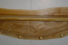 Ash Shelf